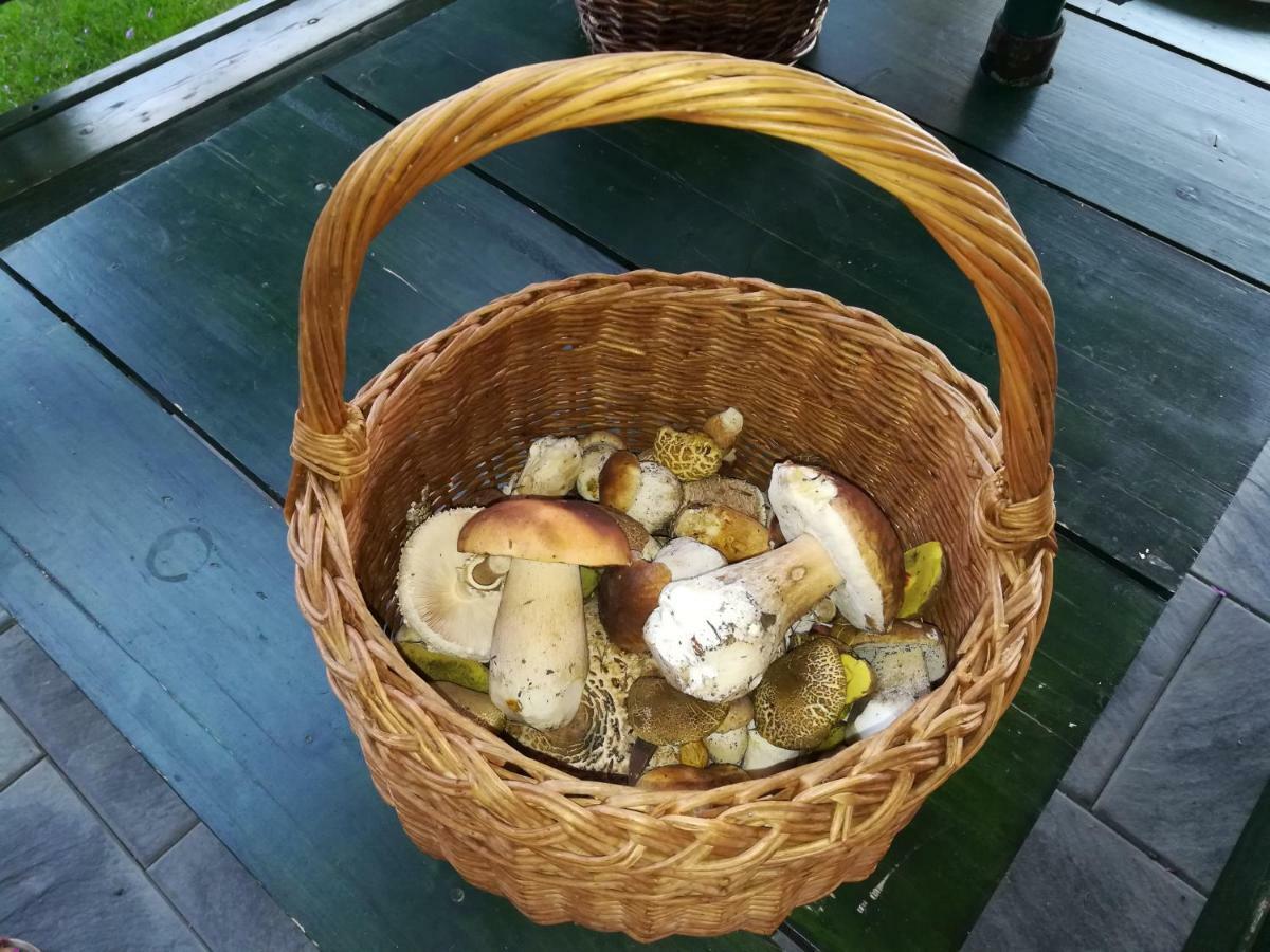 Chata Pod Lesem Rýmařov 외부 사진